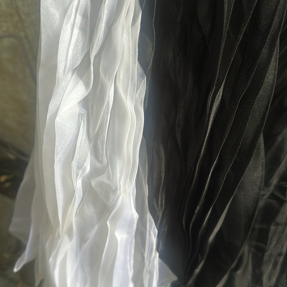 ALEXIS Federico Long Pleaded Organza Silk Dress - Picture 11 of 16